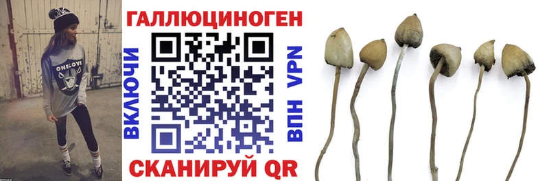 кракен сайт Сосновый Бор Псилоцибиновые грибы Magic Shrooms